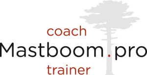 mastboom(64×34)b